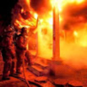 Meet your Posher, Frankie